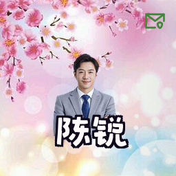 陈锐