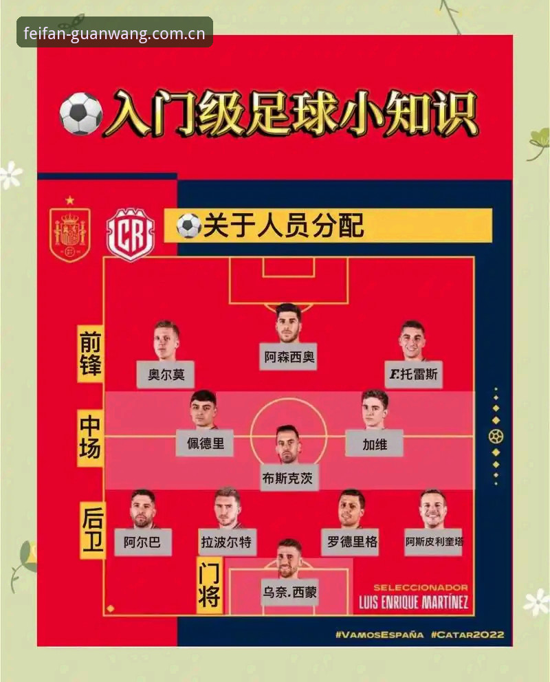 世界杯观赛受阻：掌握签证应对与替代观赛方案的实用指南